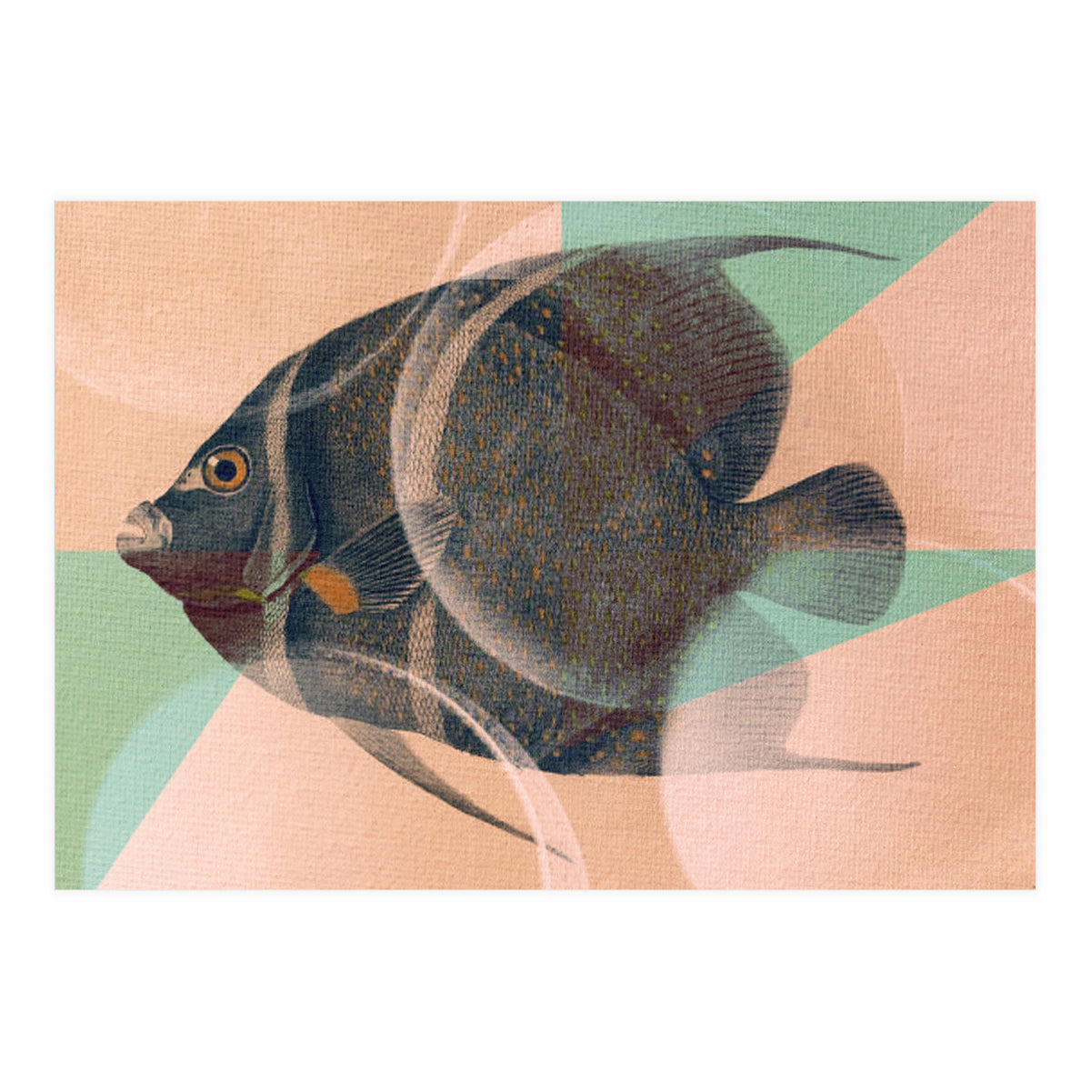 Fish Between Circles 2 (Print Only)