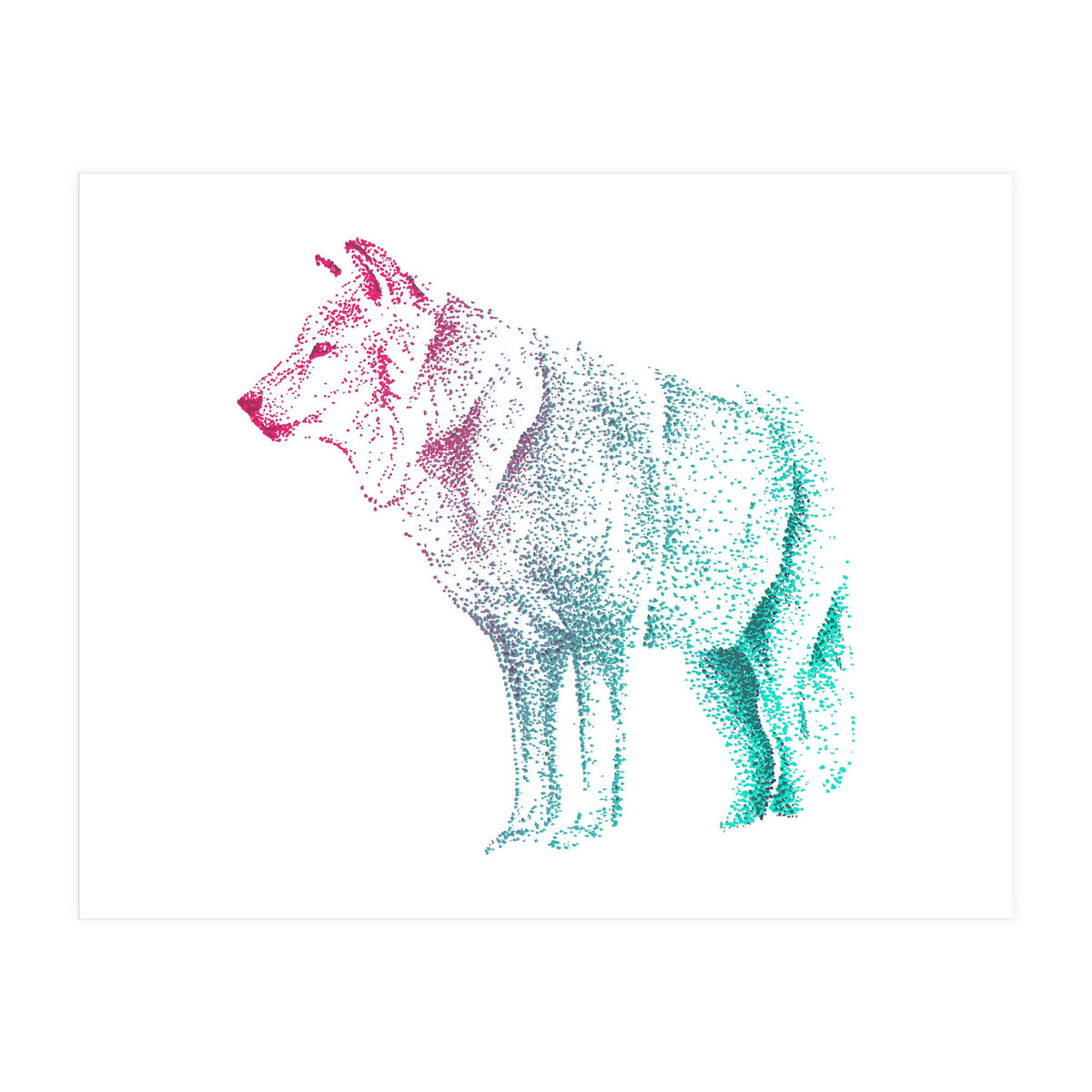 Wolf  (Print Only)