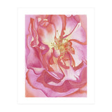 Love Is A Rose (Print Only) thumbnail