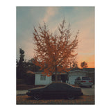 Autumn tree (Print Only) thumbnail