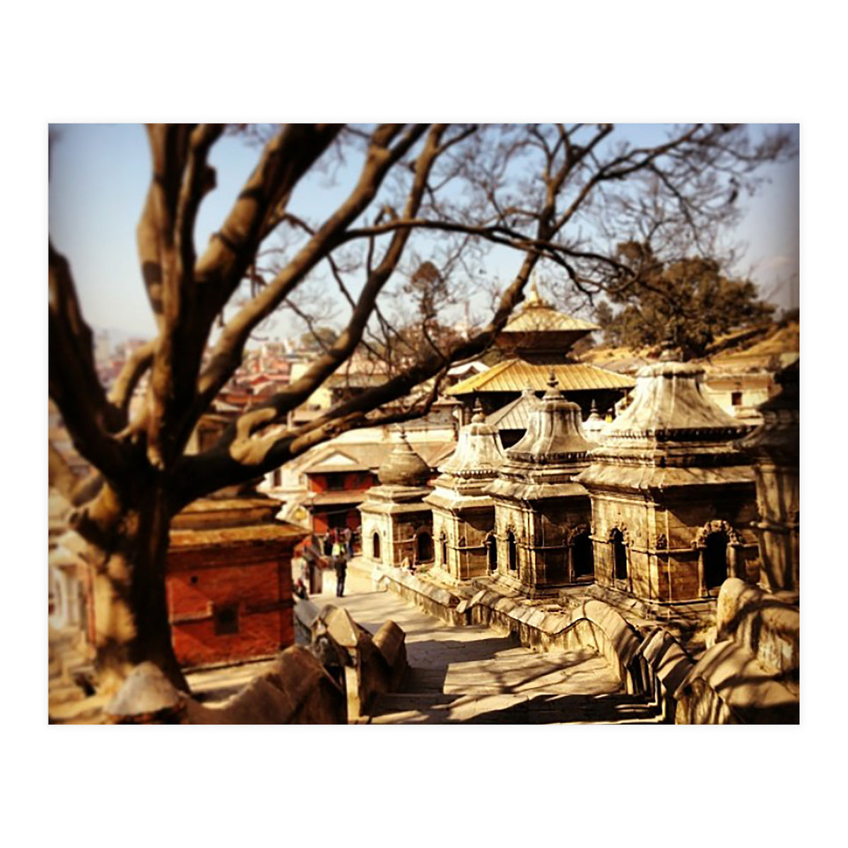 Pashupati Nath Ji (Print Only)