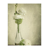 Spring Retro (Print Only) thumbnail