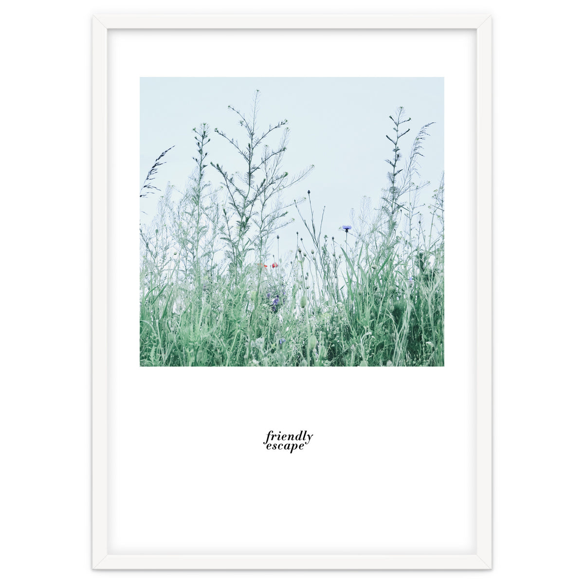 Friendly escape - Nature Photography -