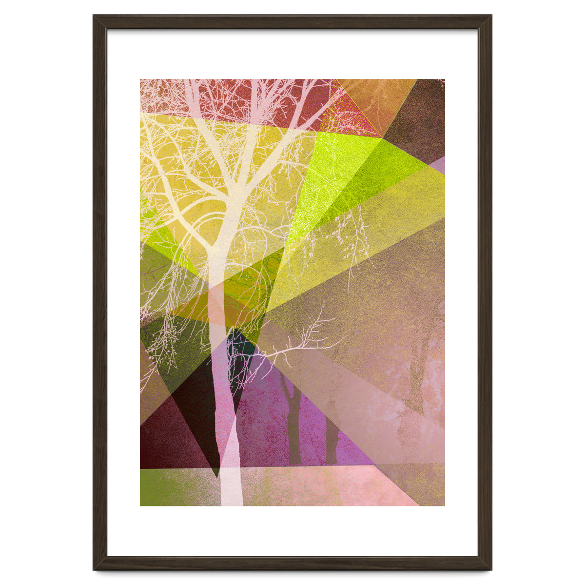 P22 Trees And Triangles