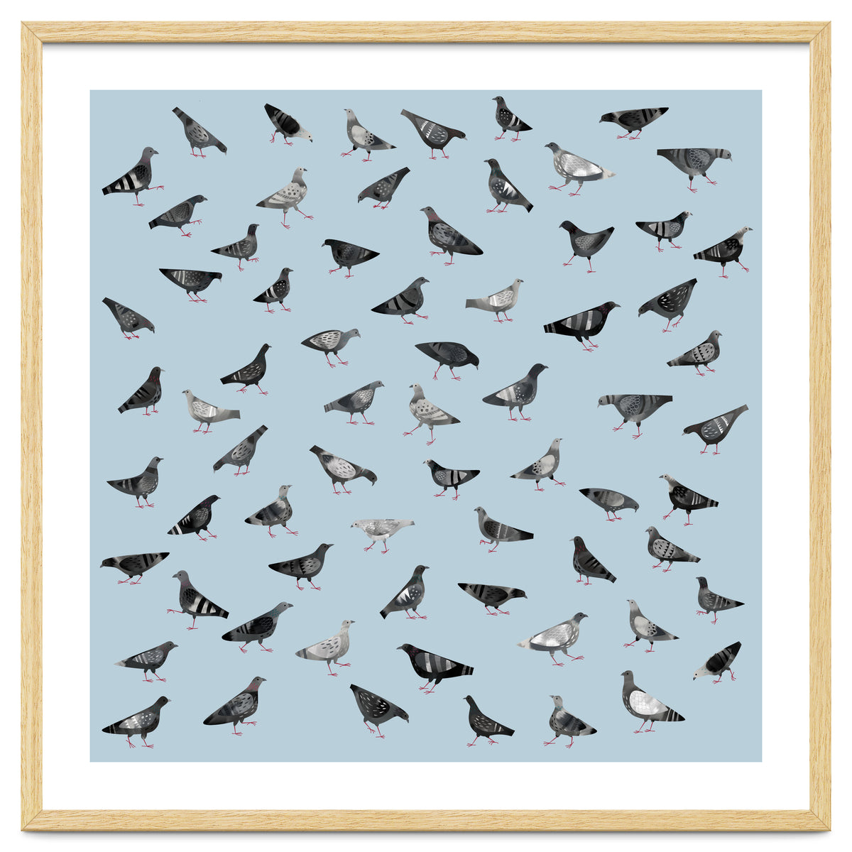 Pigeons Doing Pigeon Things