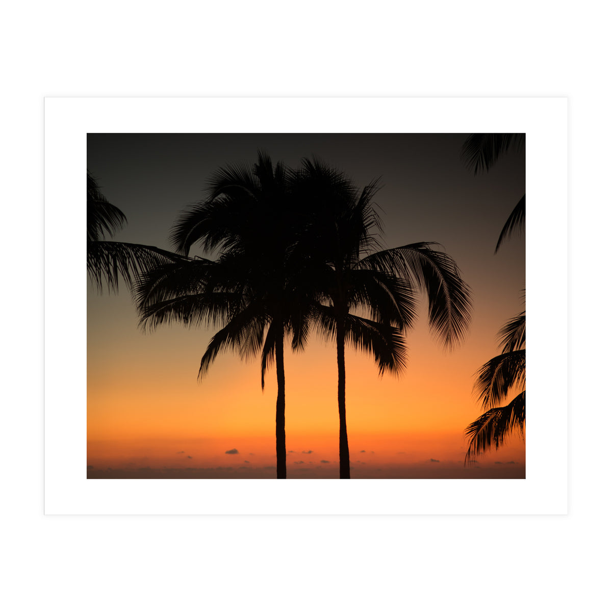 Mexico, November nights (Print Only)