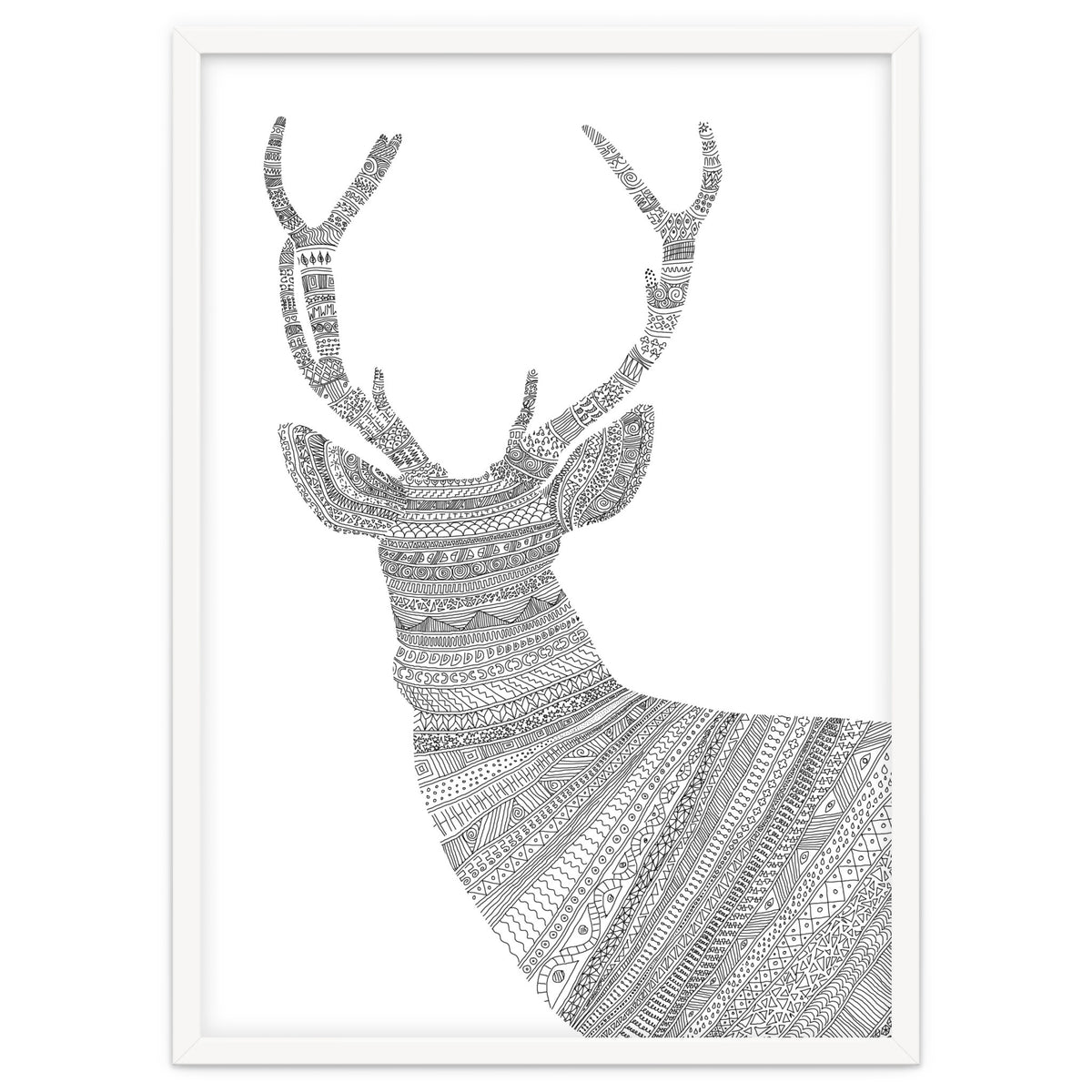 Stag 2