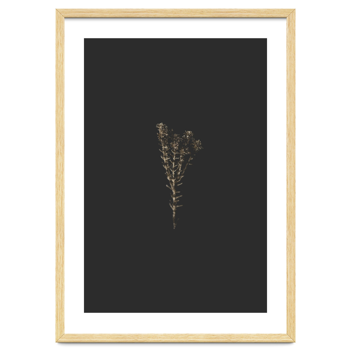 Moody Golden Botanicals