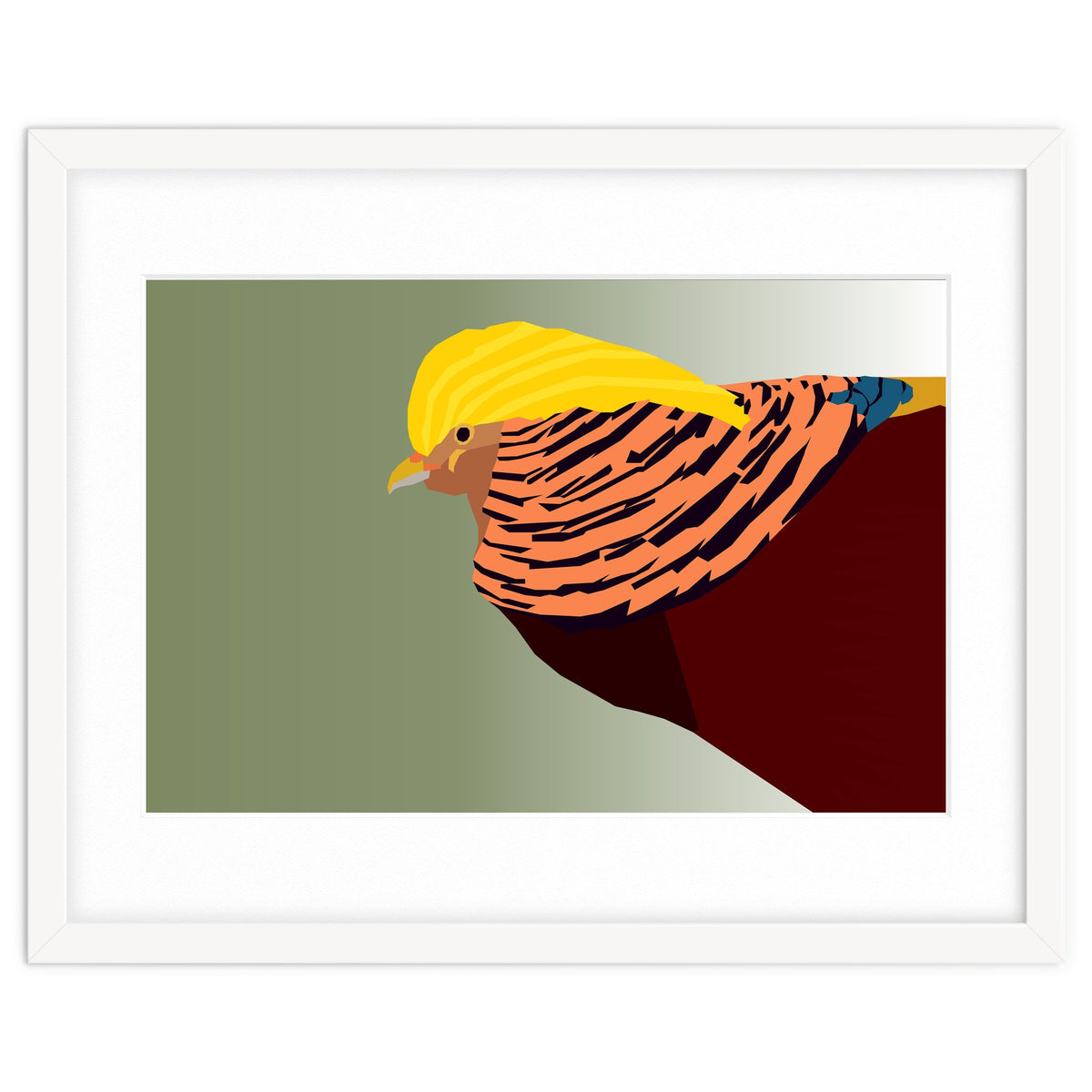 Golden Pheasant Bird Art