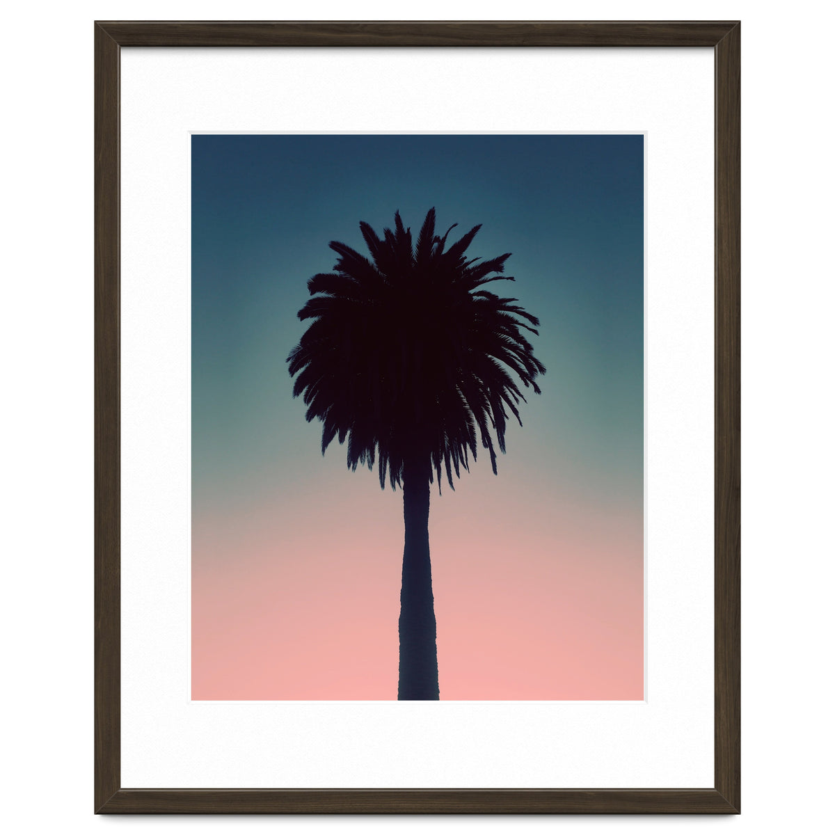 Sundown Palm