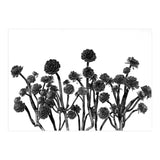 cactus succulents (Print Only) thumbnail