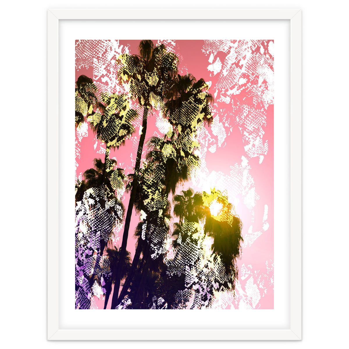 Snake sunset in paradise