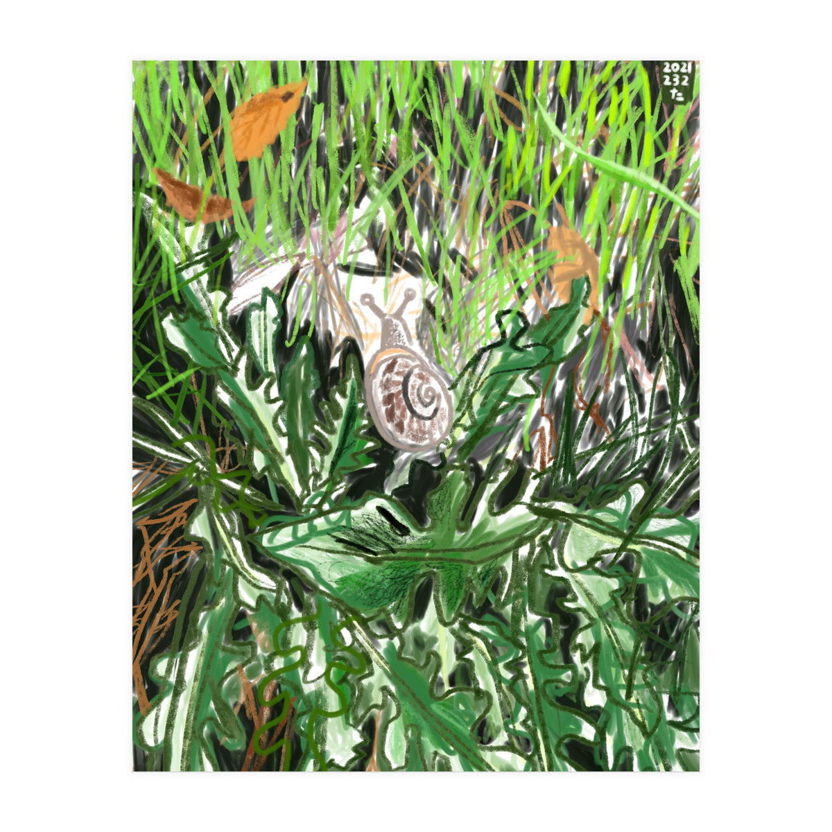 A Snail Goes (Print Only)