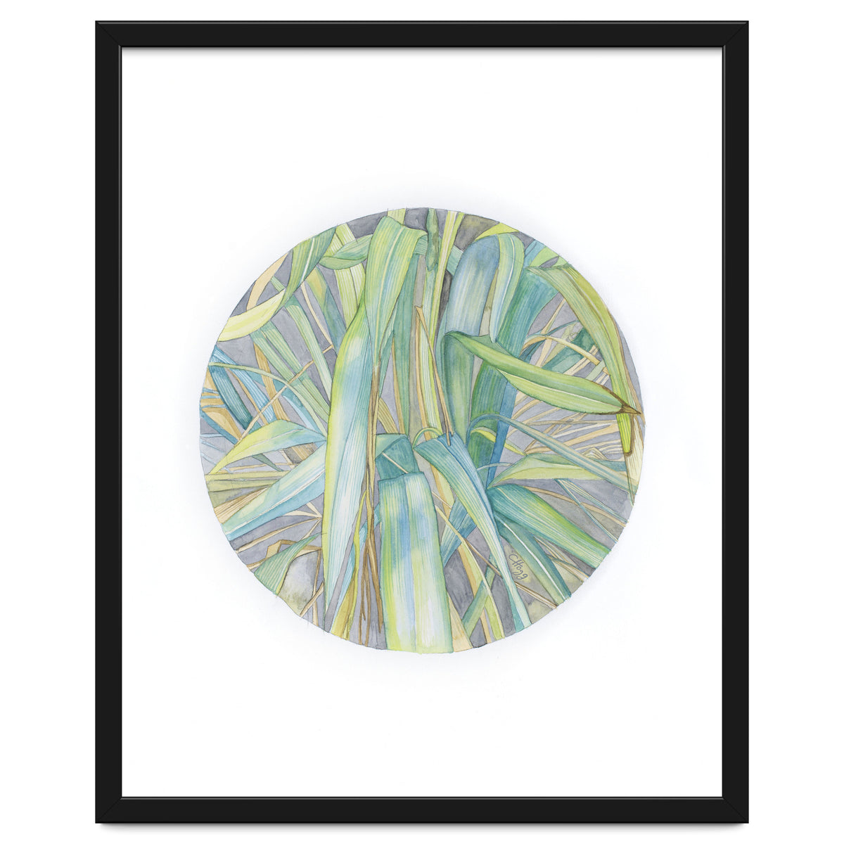 Grasses In The Late Summer Light