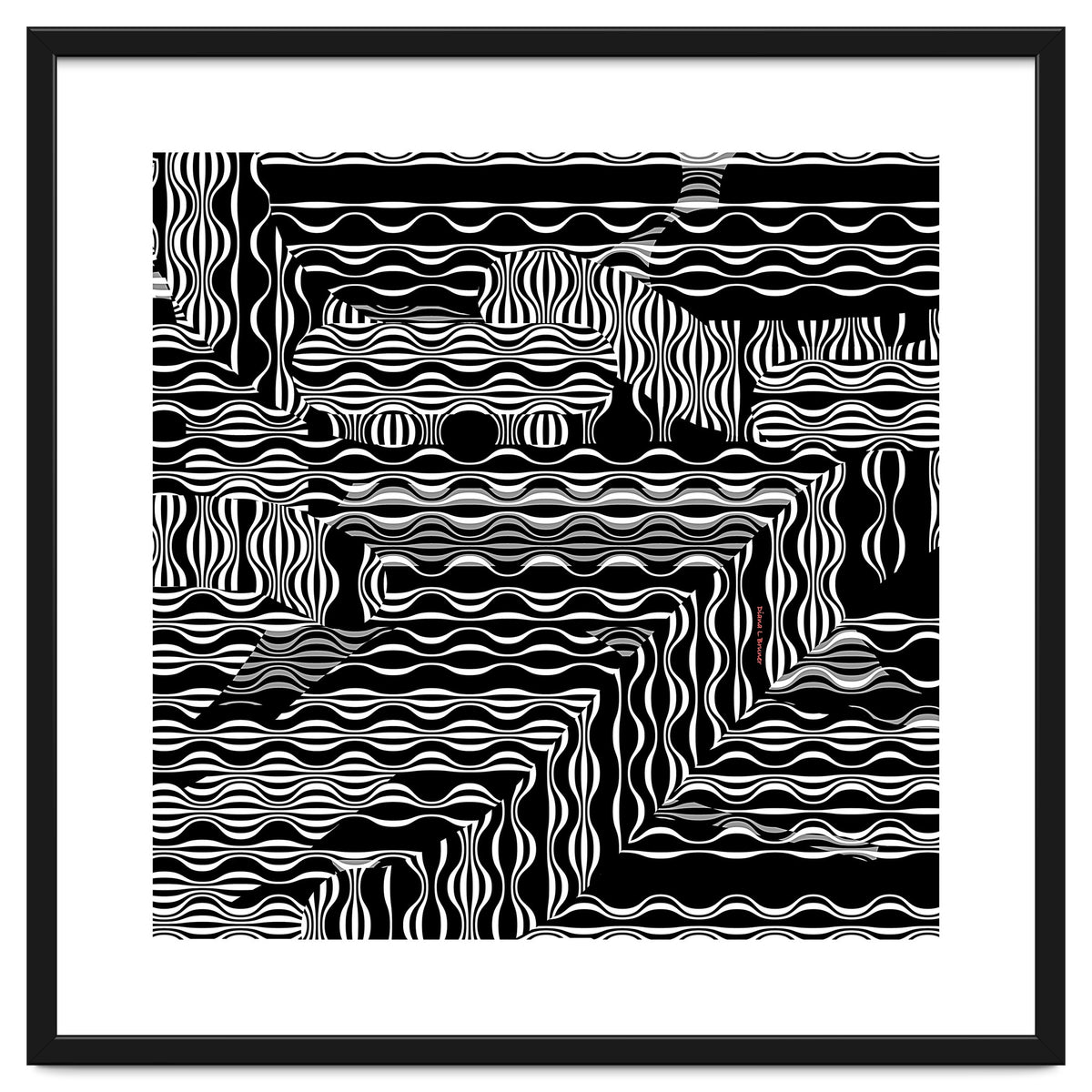 BLACK AND WHITE EXOTIC