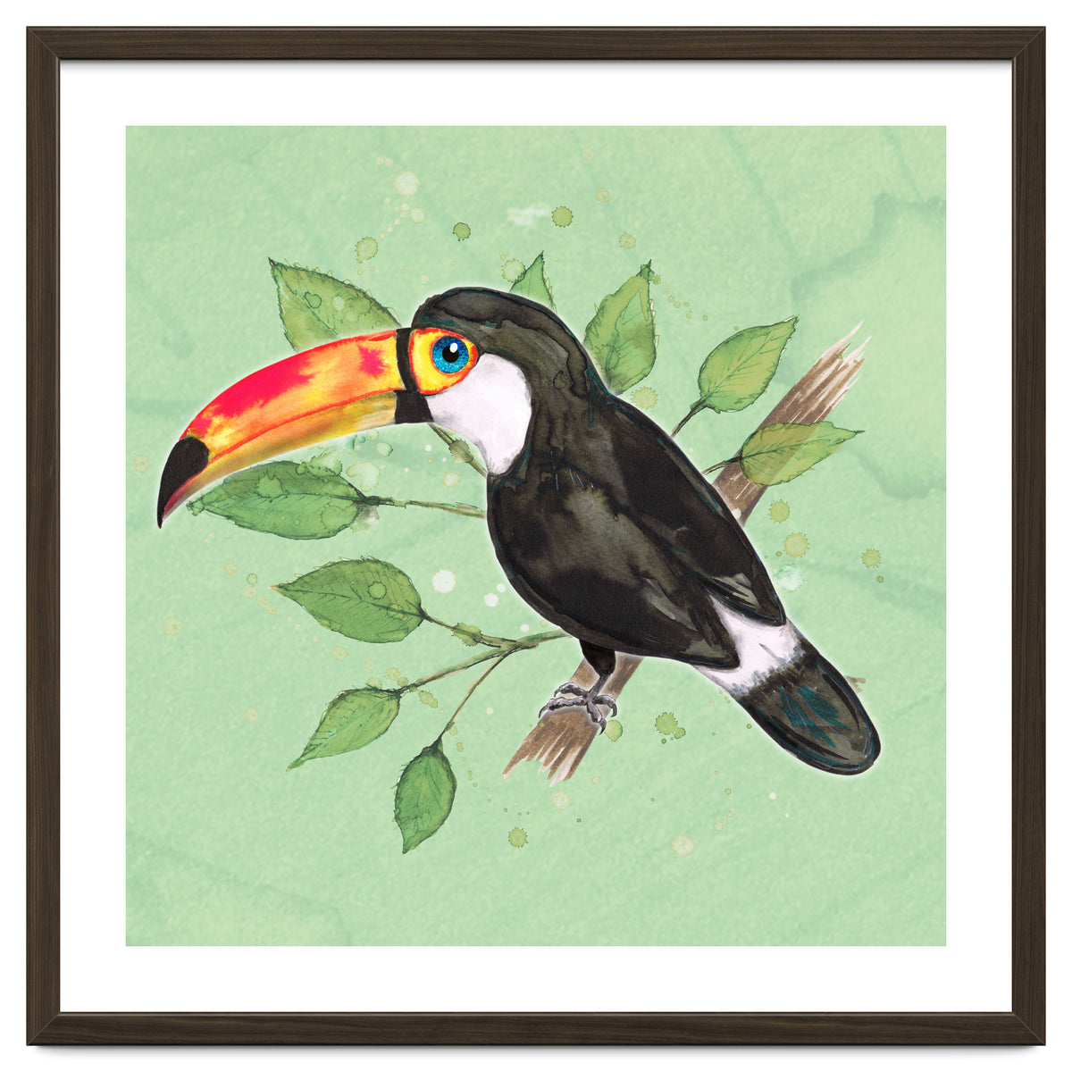 Toco toucan