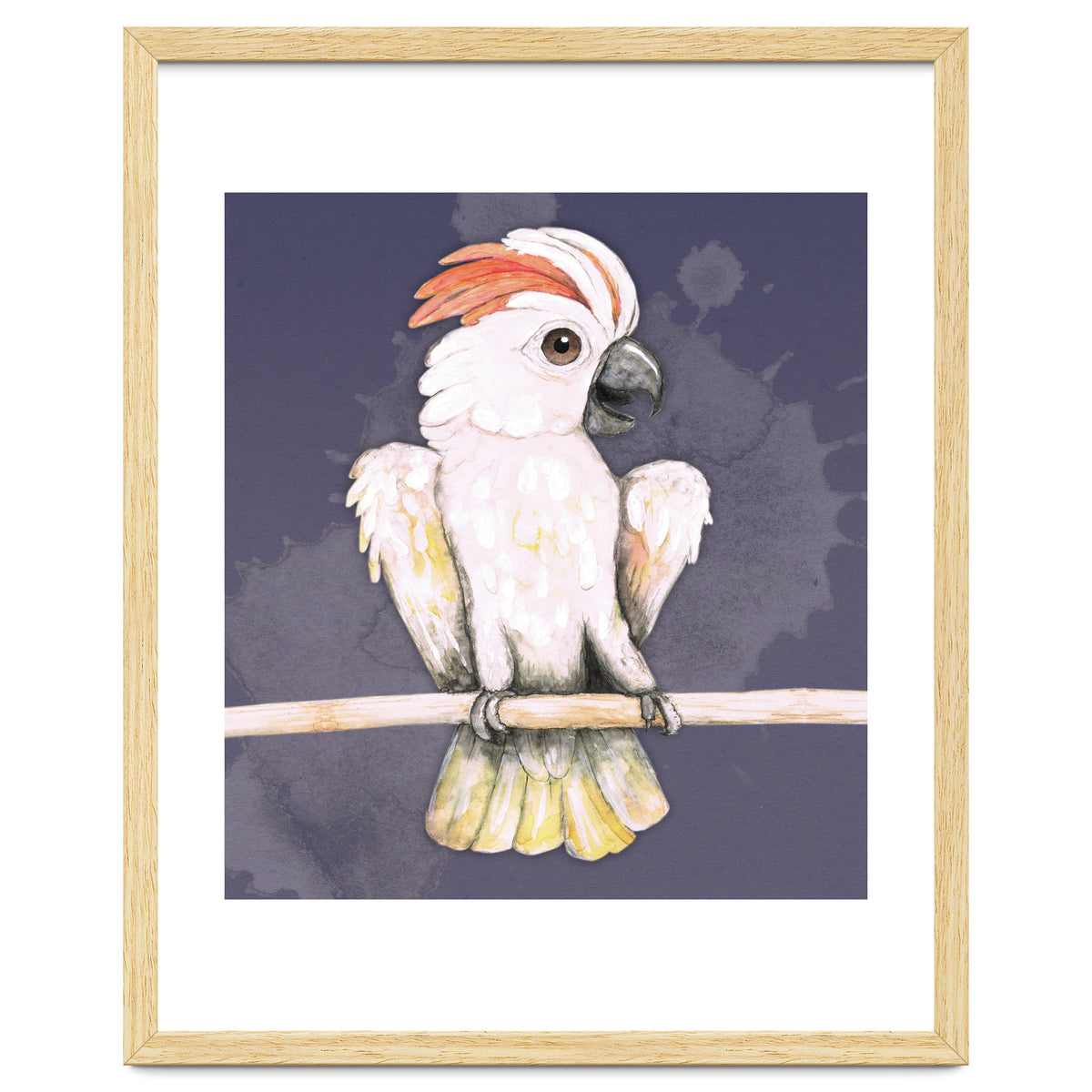 Salmon-crested cockatoo