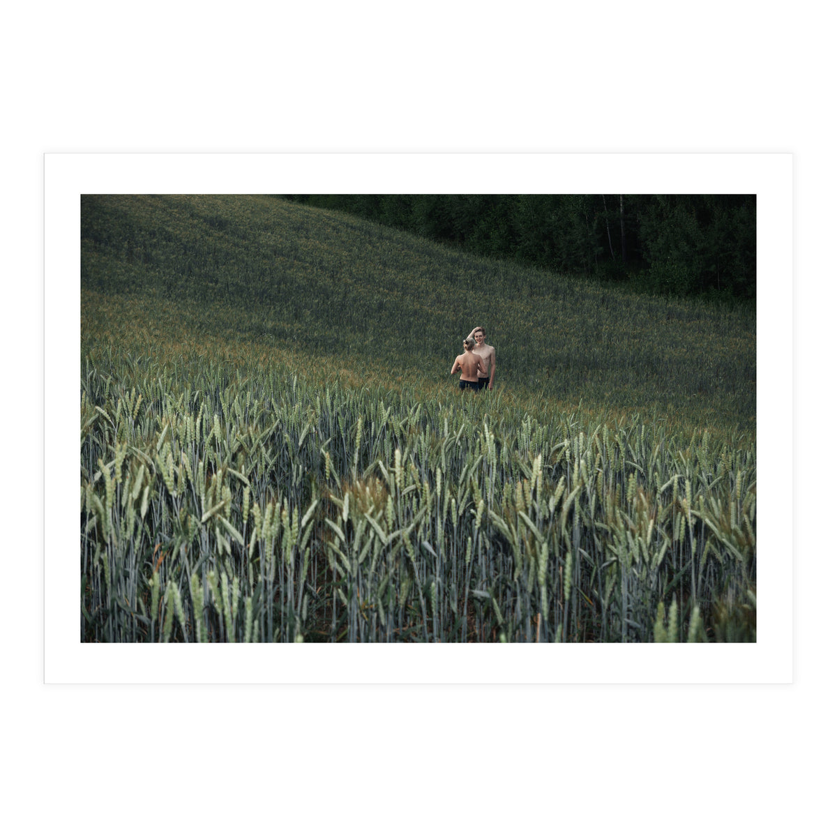 Logical Fallacy (Print Only)