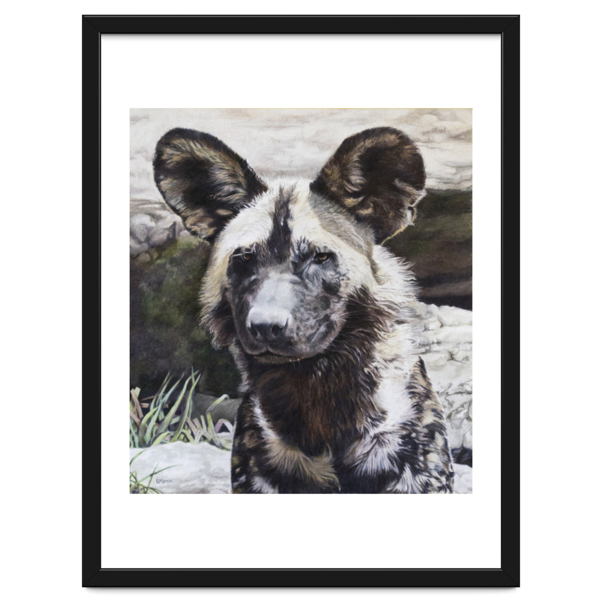 African Painted Dog II