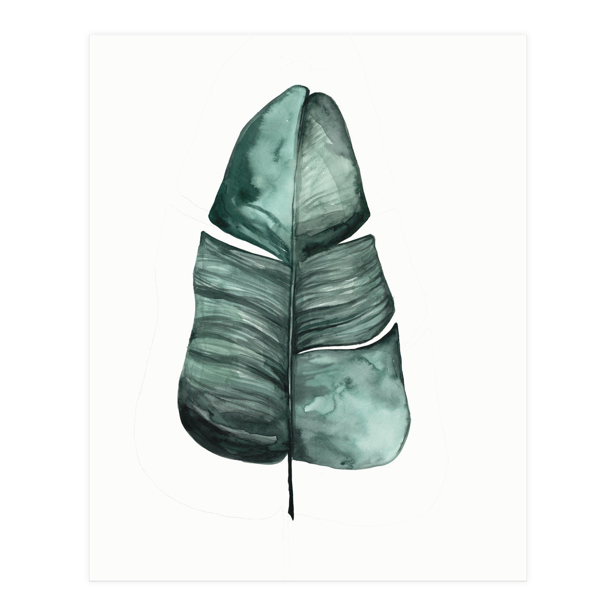 Botanical Illustration Banana Leaf (Print Only)