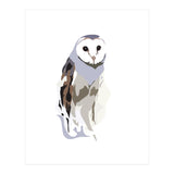 Owl (Print Only) thumbnail