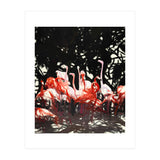 Flamingoes Under The Banyan Tree (Print Only) thumbnail