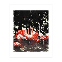 Flamingoes Under The Banyan Tree (Print Only)