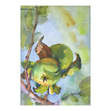 Apples on a branch (Print Only) thumbnail