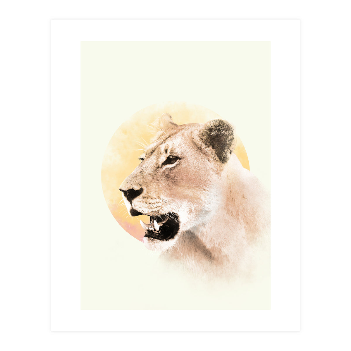 Lioness (Print Only)