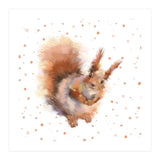 Squirrel - Wild Woods collection (Print Only) thumbnail