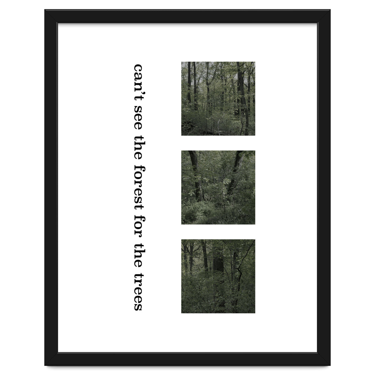 can’t see the forest for the trees