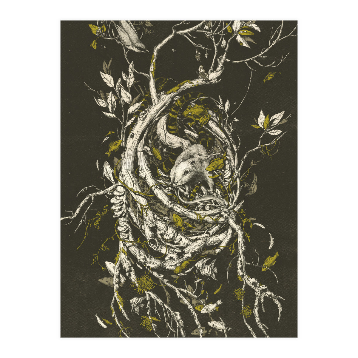 The Mangrove Tree (Print Only)