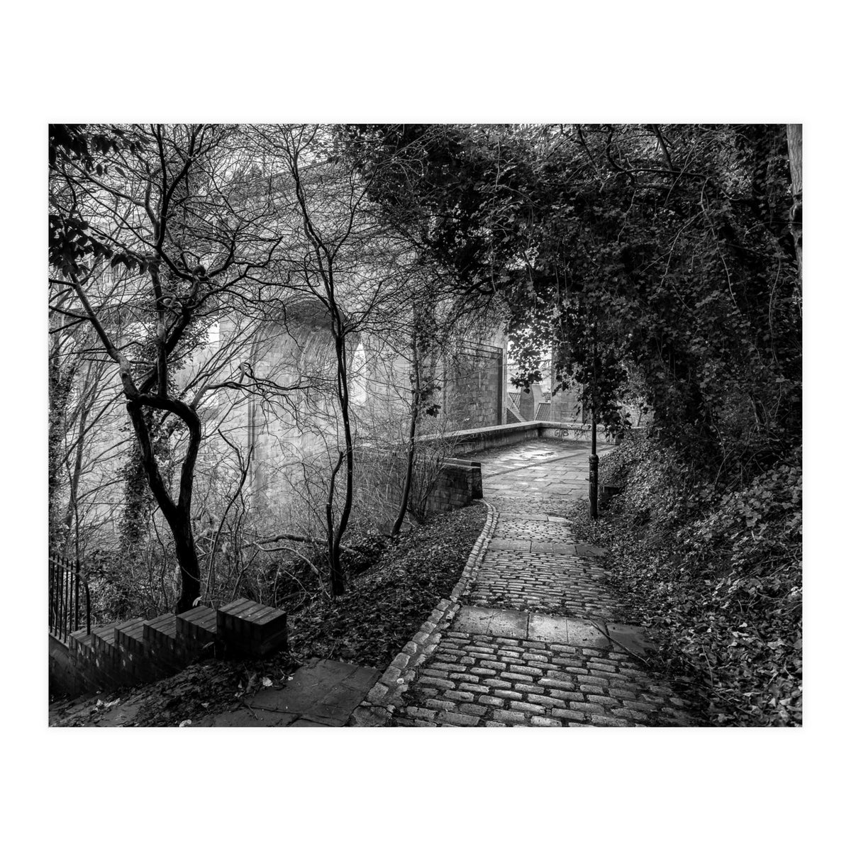 Monochrome path (Print Only)