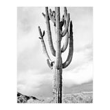 Loner (Print Only) thumbnail