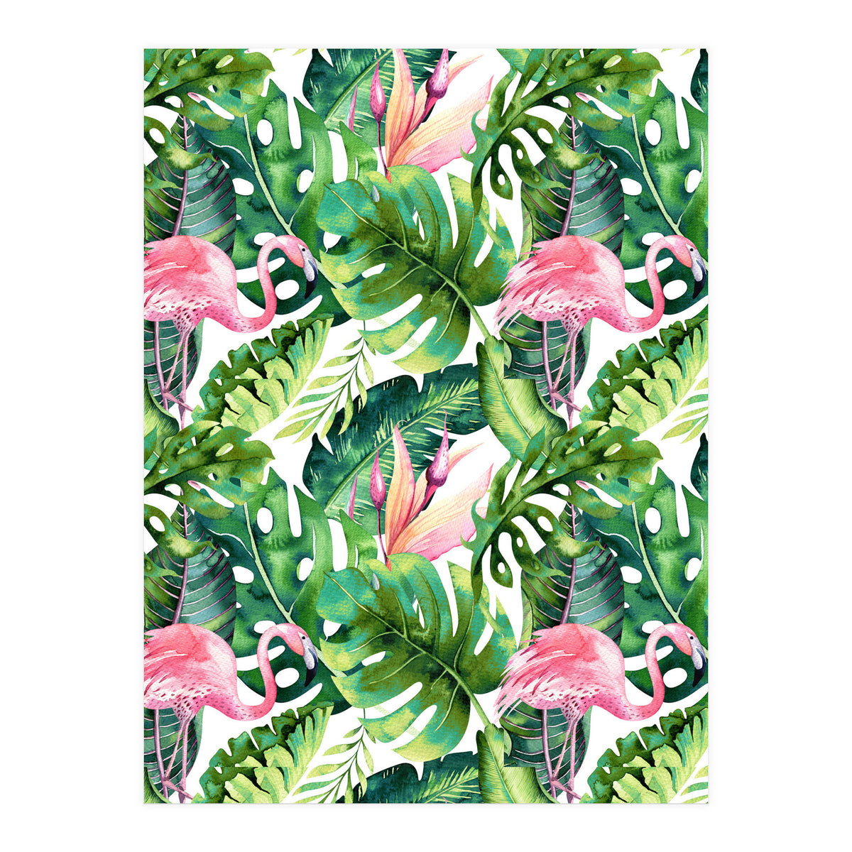 Flamingo Tropical II (Print Only)