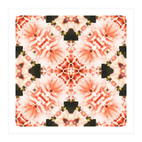 Blush Mandala (Print Only) thumbnail