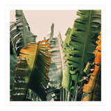 Shades Of Summer (Print Only) thumbnail
