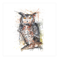Owl - Wildlife Collection (Print Only)