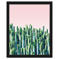 Cactus & Sunset I