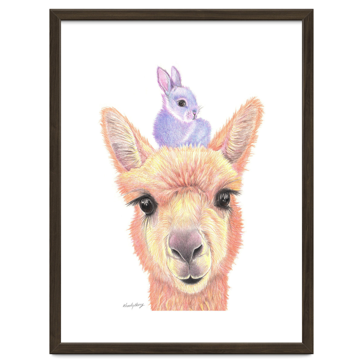 Alpaca and Bunny