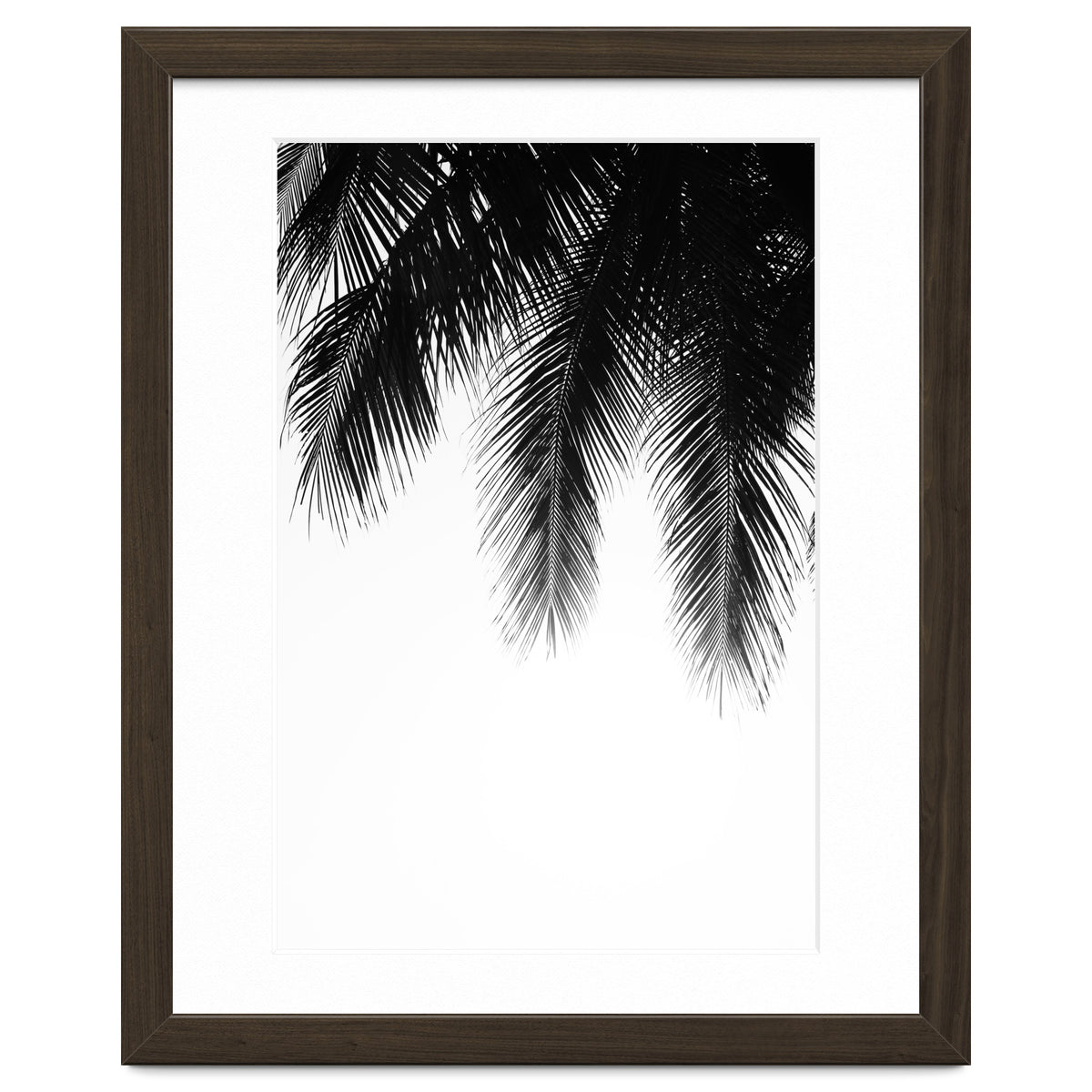 Palm leaves
