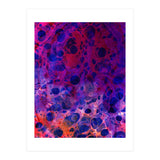 Color Overdose (Print Only) thumbnail