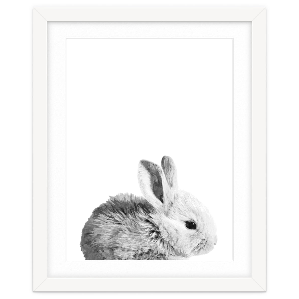 Black and White Bunny Portrait