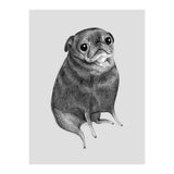 Sweet Black Pug (Print Only) thumbnail
