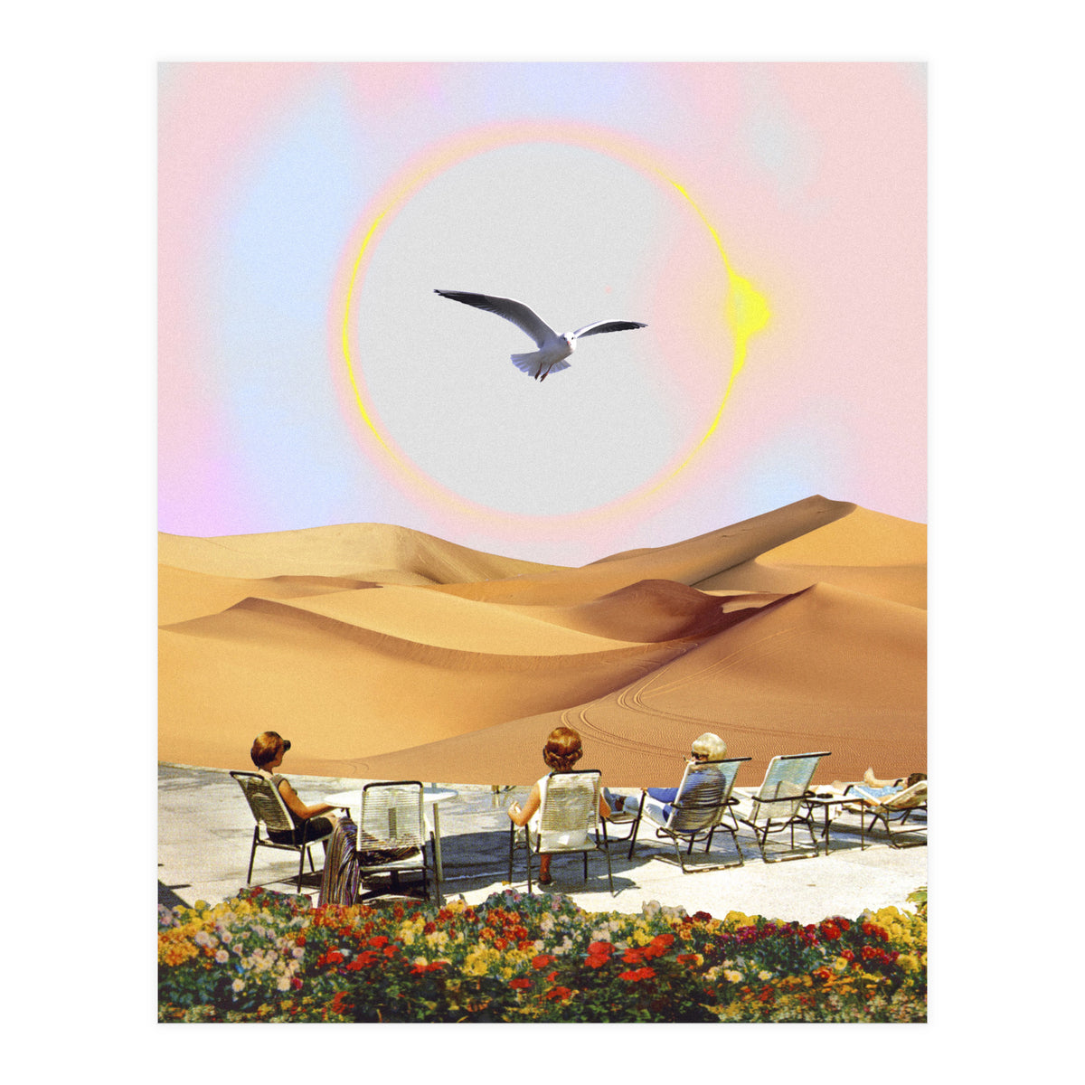 Birdwatching 2.0. (Print Only)