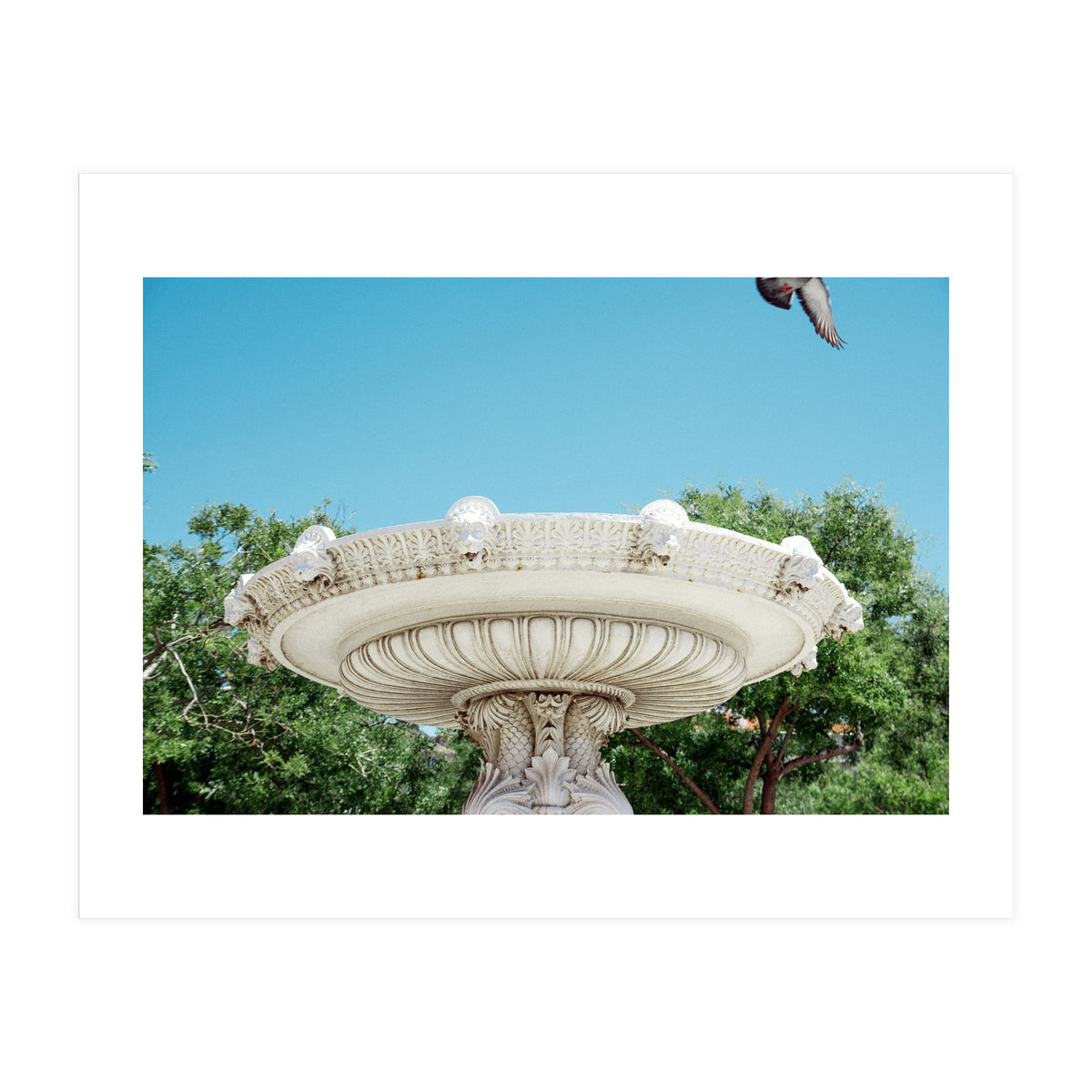 Holy Grail (Print Only)