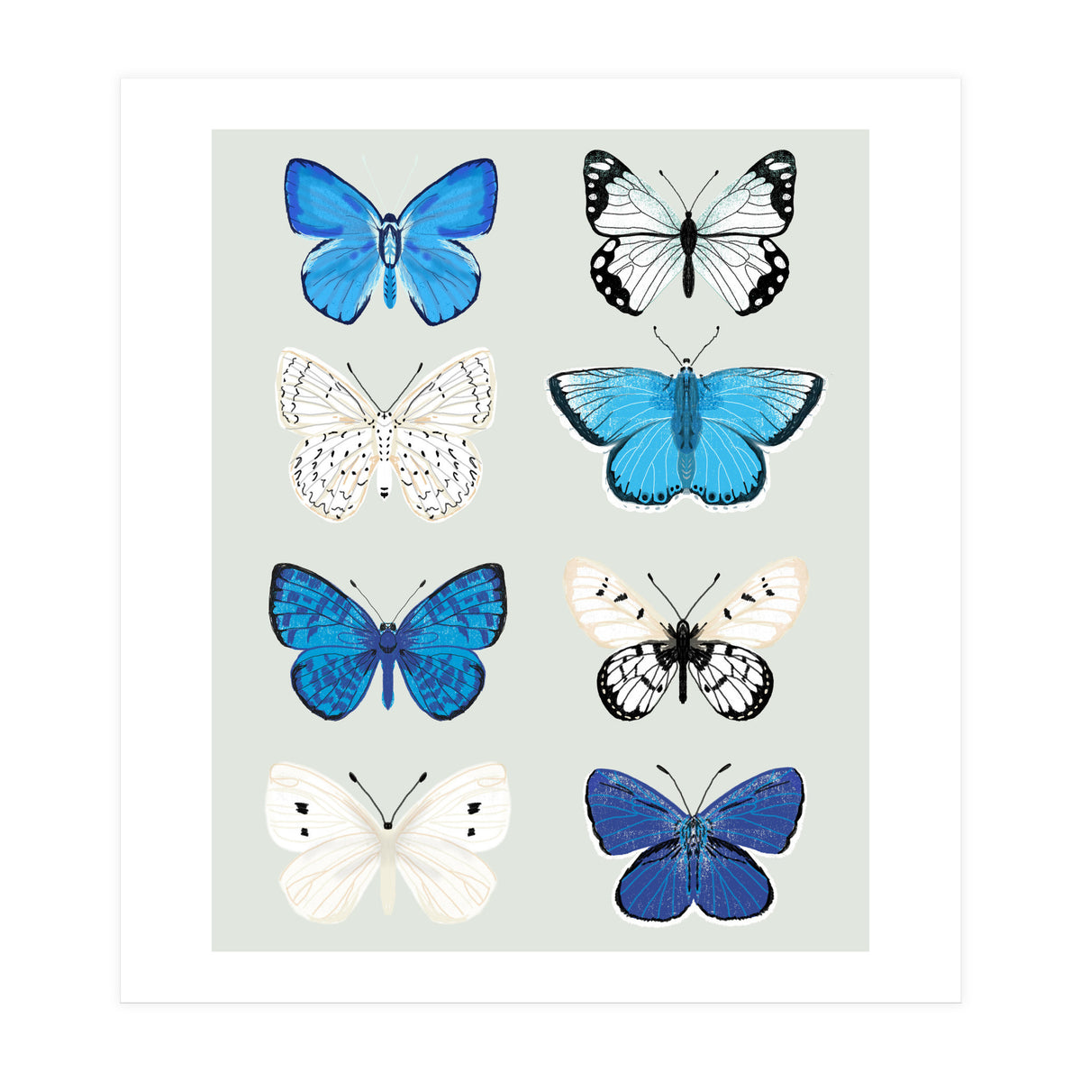 Lepidoptery Study No. 3 (Print Only)