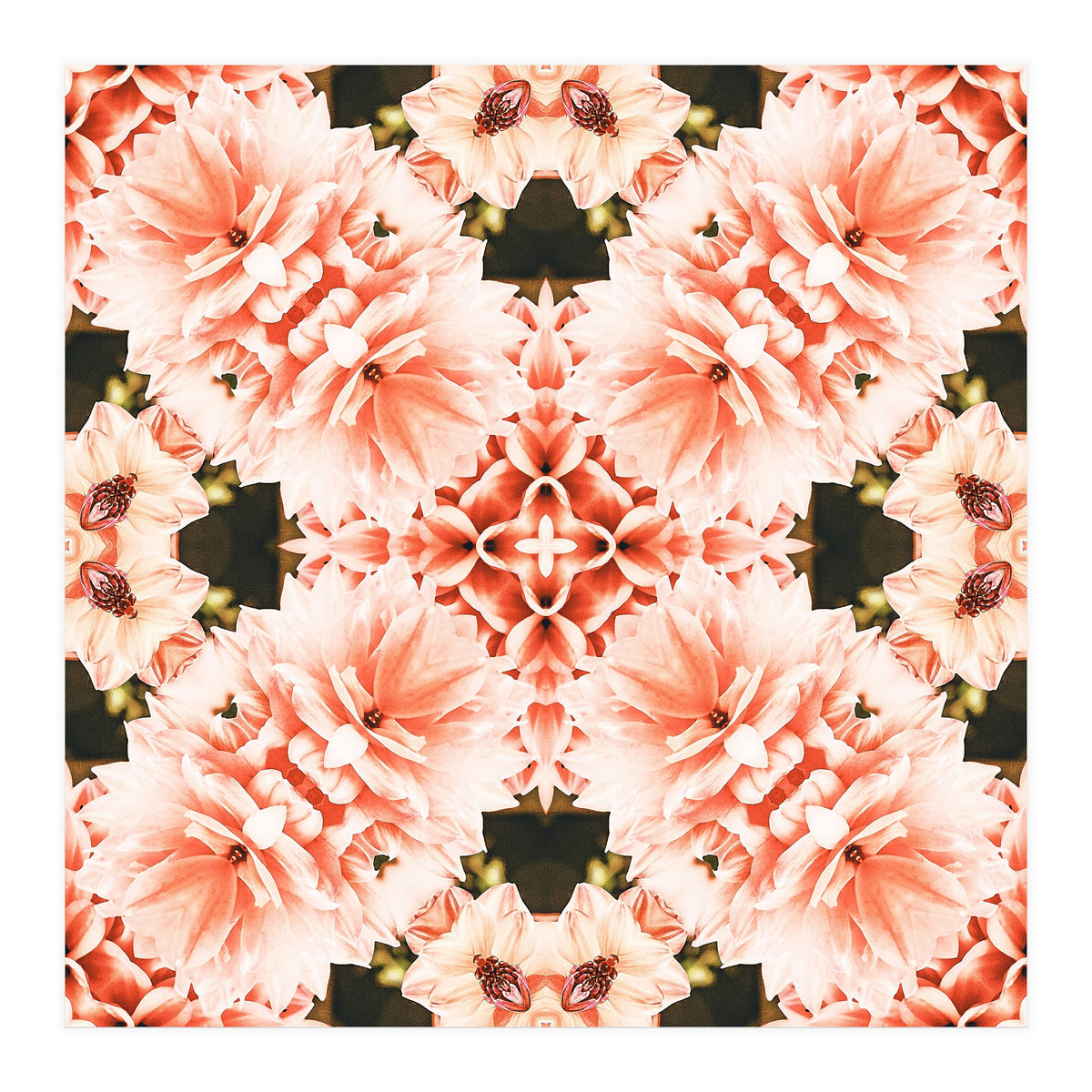 Blush Mandala (Print Only)