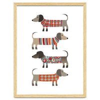 Sausage Dogs In Sweaters