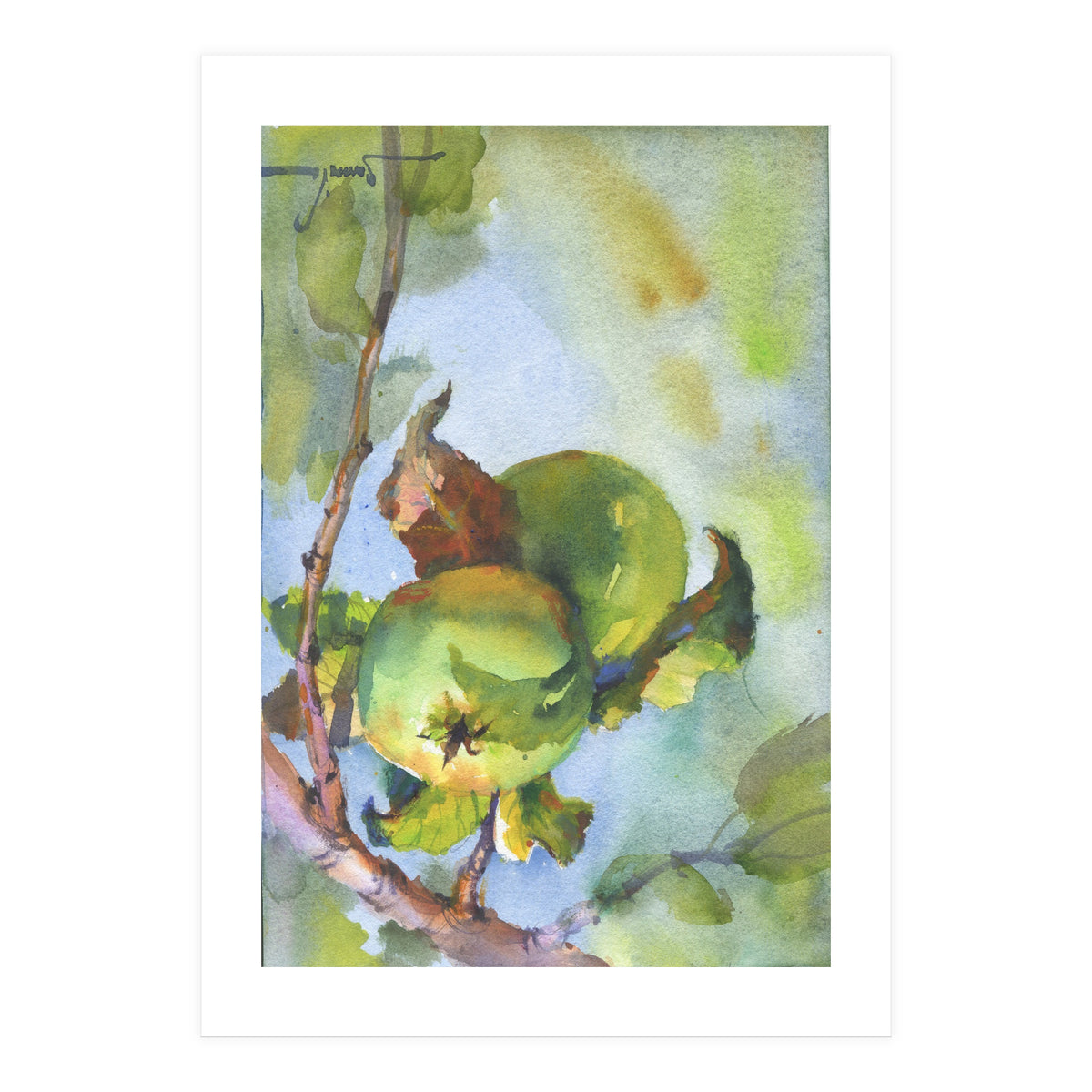 Apples on a branch (Print Only)